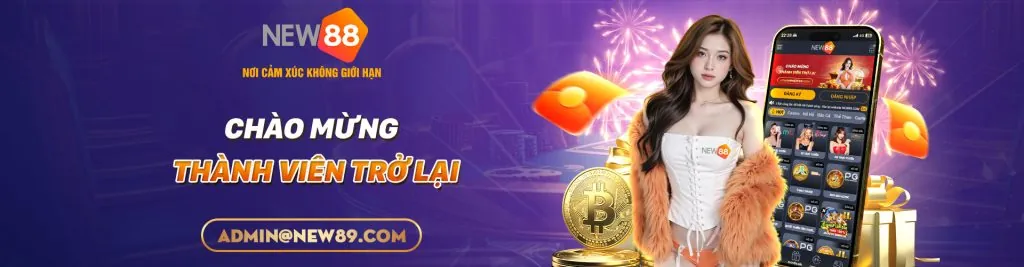 Giới thiệu và Chấp nhận Điều khoản dịch vụ wipwin